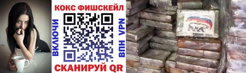 хочу Северобайкальск COCAIN Fish Scale
