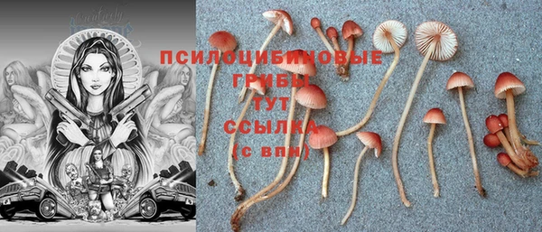 кокаин премиум Верея