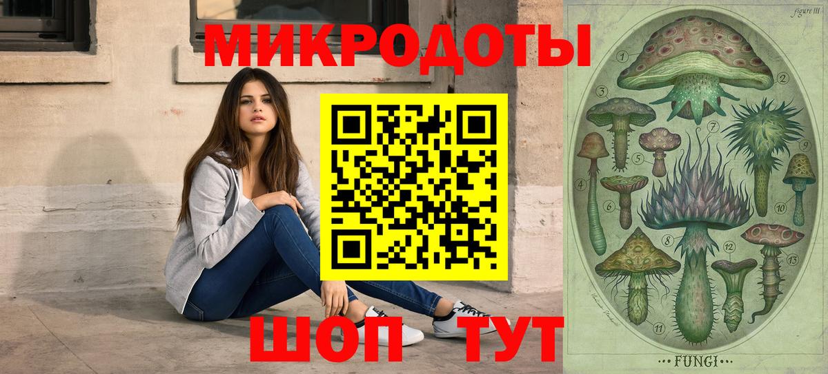 Северобайкальск  Псилоцибиновые грибы Psilocybe  Вход с VPN 