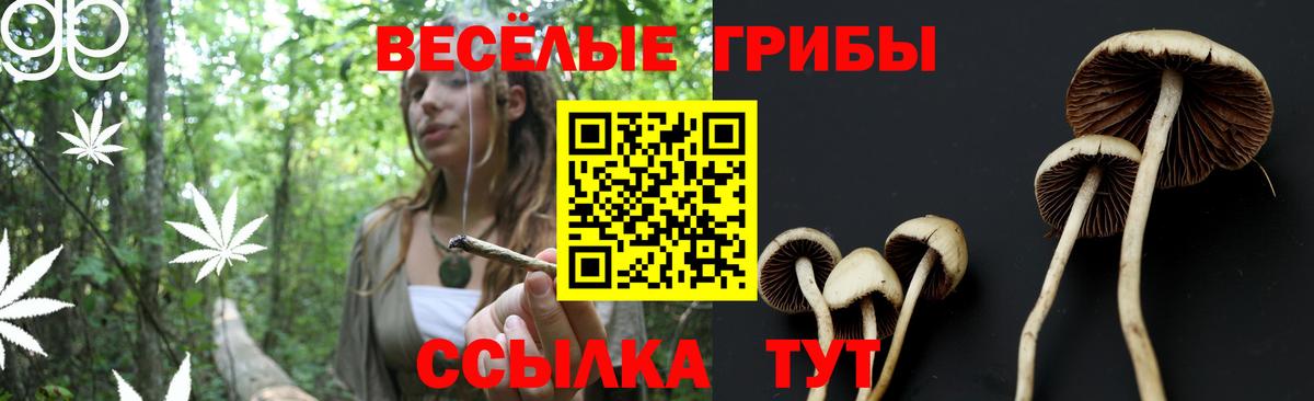 COCAIN  Конопля  Северобайкальск  Экстази  ГАШ  Мефедрон кристаллы  Вход с VPN  ГАШИШ 